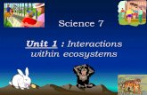 Science 7 Unit 1 : Interactions within ecosystems