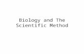 Biology and The Scientific Method. What is Biology? Biology is the study of life Biologist study: How living things work How living things interact with