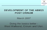 DEVELOPMENT OF THE ABM25 POST CRINUM March 2007 Doing the basics better - West Wallsend, Crinum and Ulan.