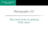 Curriculum ~ Photography Tips & tricks Photography 101 Tips and tricks to getting THE shot!