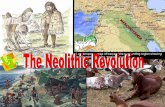 The Neolithic Revolution The Neolithic Revolution