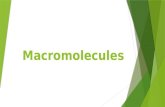 Macromolecules.  Monomers make up polymers (macromolecules)