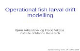 Operational fish larval drift modelling Bjørn Ådlandsvik og Frode Vikebø Institute of Marine Research Opnet meeting, Geilo, 14-15 May 2008.