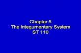 Chapter 5 The Integumentary System ST 110. Mosby items and derived items © 2008 by Mosby, Inc., an affiliate of Elsevier Inc. Slide 2 Objectives  Describe.