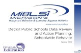 Detroit Public Schools Data Review and Action Planning: Schoolwide Behavior Spring 2009 .