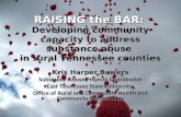 RAISING the BAR : Developing community capacity to address substance abuse in rural Tennessee counties Kris Harper Bowers Substance Abuse Projects Coordinator.