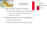 Plasma Pale yellow liquid of blood Plasma leaks out of capillaries