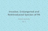Invasive, Endangered and Reintroduced Species of PA Alexis Gressly Pd.1.