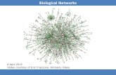 Biological Networks 8 April 2015