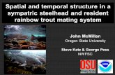 Spatial and temporal structure in a sympatric steelhead and resident rainbow trout mating system John McMillan Oregon State University Steve Katz & George.