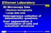 IGP NCRR Ellisman Laboratory 3D Microscopy Data Electron tomography Large data sets Heterogeneous collection of data/scientific questions Goal: segmentation.