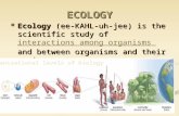 ECOLOGY Ecology (ee-KAHL-uh-jee) is the scientific study of interactions among organisms and between organisms and their environment. Ecology (ee-KAHL-uh-jee)
