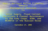 NOAA’s National Marine Fisheries Service Biological Opinion for Water Supply, Flood Control Operations & Channel Maintenance by the Army Corps, SCWA, and.