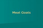 Meat Goats. Terms Buck or Billy – mature male Buck or Billy – mature male Wether – castrated male Wether – castrated male Doe or Nanny – mature female.