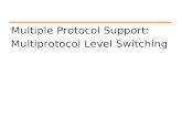 Multiple Protocol Support: Multiprotocol Level Switching.