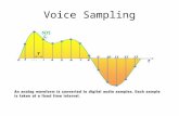Voice Sampling. Sampling Rate Nyquist’s theorem states that a signal can be reconstructed if it is sampled at twice the maximum frequency of the signal.