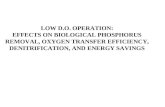 LOW D.O. OPERATION: EFFECTS ON BIOLOGICAL PHOSPHORUS REMOVAL, OXYGEN TRANSFER EFFICIENCY, DENITRIFICATION, AND ENERGY SAVINGS.