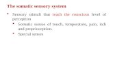 The somatic sensory system  Sensory stimuli that reach the conscious level of perception  Somatic senses of touch, temperature, pain, itch and proprioception.