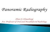 Panoramic Radiography Abeer A Almashraqi Ass