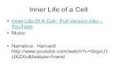 Inner Life of a Cell Inner Life Of A Cell - Full Version.mkv – YouTube