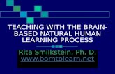 TEACHING WITH THE BRAIN- BASED NATURAL HUMAN LEARNING PROCESS Rita Smilkstein, Ph. D. .