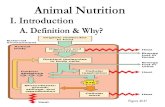 I. Introduction Animal Nutrition A. Definition & Why? Figure 40.17.