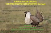 GREATER SAGE-GROUSE COMPREHENSIVE CONSERVATION Strategy Conservation in Sagebrush Ecosystems San Stiver Sage-Grouse Coordinator Western Association of.