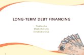 LONG-TERM DEBT FINANCING Tina Lumba Elizabeth Harris Christin Burrows 1.