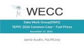 Data Work Group(DWG) TEPPC 2026 Common Case - Fuel Prices November 17, 2015 Jamie Austin, PacifiCorp.