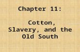 Chapter 11: Cotton, Slavery, and the Old South. Before we begin examining Chapter 11, in your group answer the following questions: How did the Market.