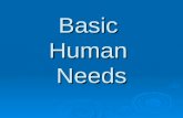 Basic Human Needs. Abraham Maslow  Famous Psychologist  Most known for his theory of basic human needs.  He theorized that a specific series of needs.