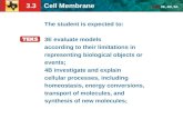 3.3 Cell Membrane TEKS 3E, 4B, 9A The student is expected to: 3E evaluate models according to their limitations in representing biological objects or events;