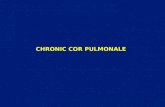 CHRONIC COR PULMONALE. Cor pulmonale 1. Acute cor pulmonale 2. Chronic cor pulmonale.