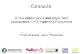 Cascade Scale interactions and organized convection in the tropical atmosphere Project Manager: Steve Woolnough.