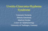 Uveitis-Glaucoma-Hyphema Syndrome Constanze Kortuem, Daniela Suesskind, Manfred Zierhut Centre for Ophthalmology University of Tuebingen, Germany.