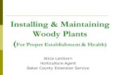 Installing & Maintaining Woody Plants ( For Proper Establishment & Health) Alicia Lamborn Horticulture Agent Baker County Extension Service.