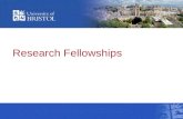 Research Fellowships. Overview Introduction Why apply for a fellowship Finding the right fellowship The application process Assessment criteria for funding.