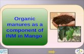 Organic manures as a component of INM in Mango. Organic manures are important for maintaining soil health by enhancing the biological cycles and improving.