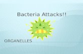 Bacteria Attacks!!.  To move the cell around (flagella)  Or move things around the cell (cilia)