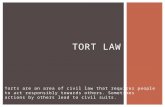 Torts are an area of civil law that requires people to act responsibly towards others. Sometimes actions by others lead to civil suits. TORT LAW.