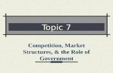 Topic 7 Competition, Market Structures, & the Role of Government.
