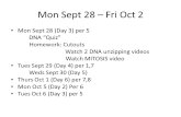 Mon Sept 28 – Fri Oct 2 Mon Sept 28 (Day 3) per 5 DNA “Quiz” Homework: Cutouts Watch 2 DNA unzipping videos Watch MITOSIS video Tues Sept 29 (Day 4) per.