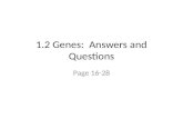 1.2 Genes: Answers and Questions Page 16-28. Chromosomes Found in the nucleus Thread-like structure.