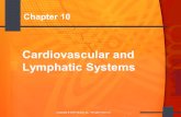 1 Copyright © 2005 Mosby, Inc. All rights reserved. Chapter 10 Cardiovascular and Lymphatic Systems.