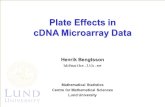 Henrik Bengtsson Mathematical Statistics Centre for Mathematical Sciences Lund University Plate Effects in cDNA Microarray Data.
