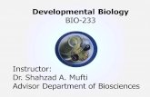 Instructor: Dr. Shahzad A. Mufti Advisor Department of Biosciences Developmental Biology BIO-233.