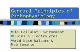 General Principles of Pathophysiology n The Cellular Environment n Fluids & Electrolytes n Acid-base Balance & Maintenance n The Cellular Environment n.