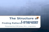 The Structure of Language Finding Patterns in the Noise Presented by Cliff Jones, M.A., Linguistics.