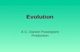 Evolution A C. Darwin Powerpoint Production. Charles Darwin Was a British Naturalist (a person who studies the natural world). He came up with theory.