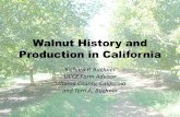 Walnut History and Production in California Richard P. Buchner UCCE Farm Advisor Tehama County, California and Terri A. Buchner.